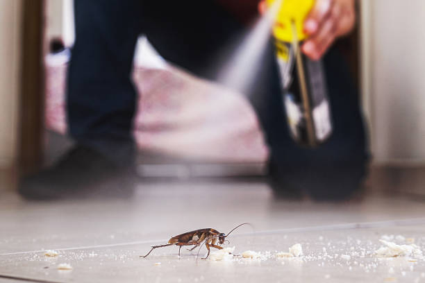 Trusted Tuckahoe, NY Pest Control Experts